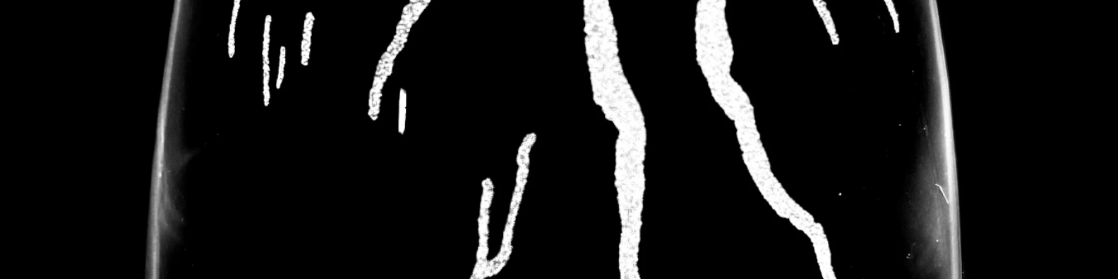 Locally Etched, Personally Yours: Meet Etched in the Finger Lakes