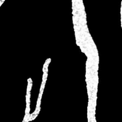 Locally Etched, Personally Yours: Meet Etched in the Finger Lakes