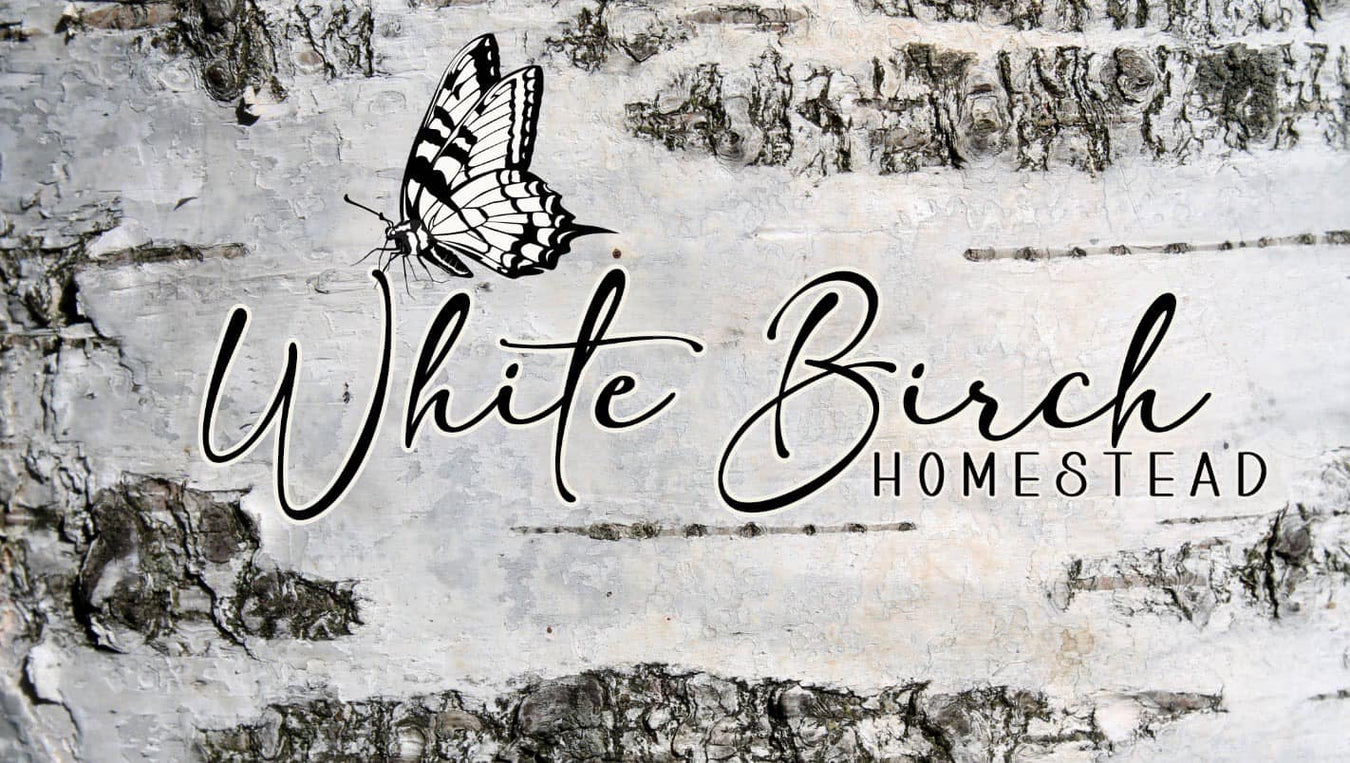 New Seller Spotlight: White Birch Homestead