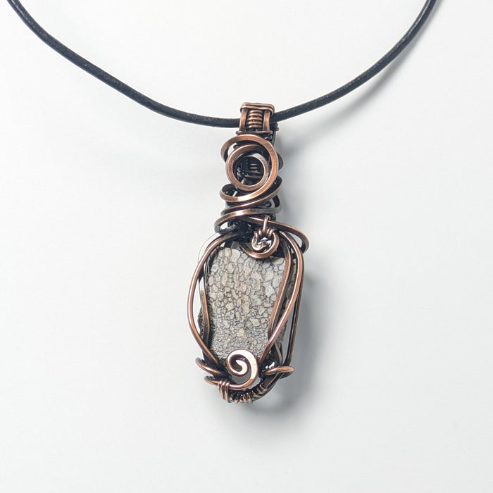 Dinosaur Bone Necklace
