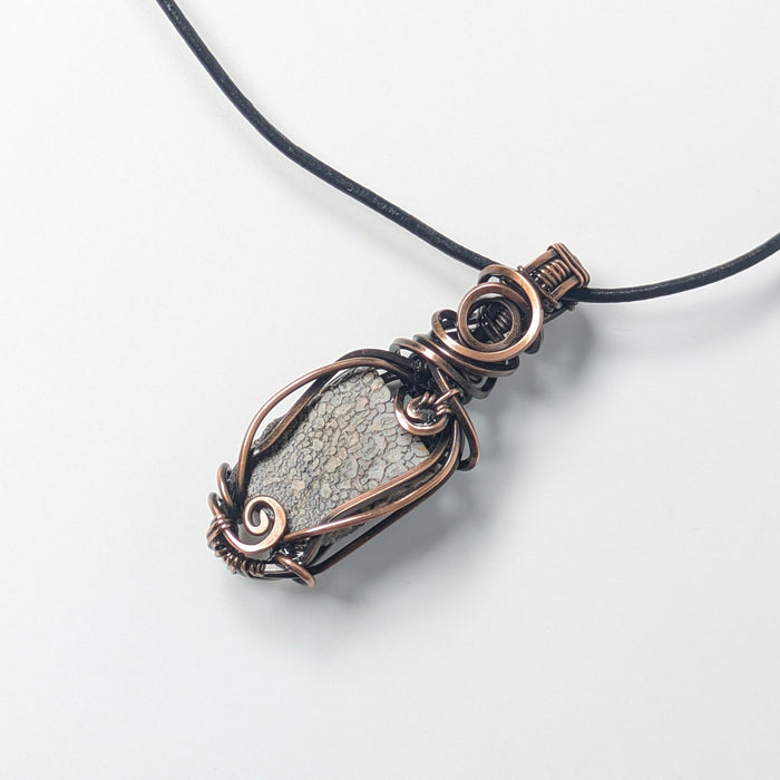 Dinosaur Bone Necklace