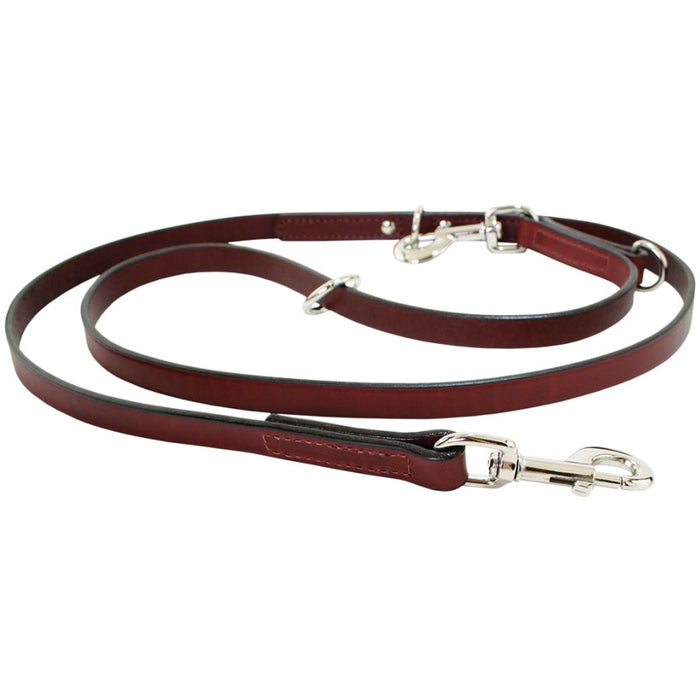 Multi-Function Leash
