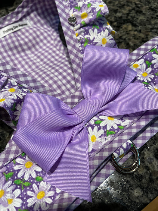 Step in Harness, Purple Daisy