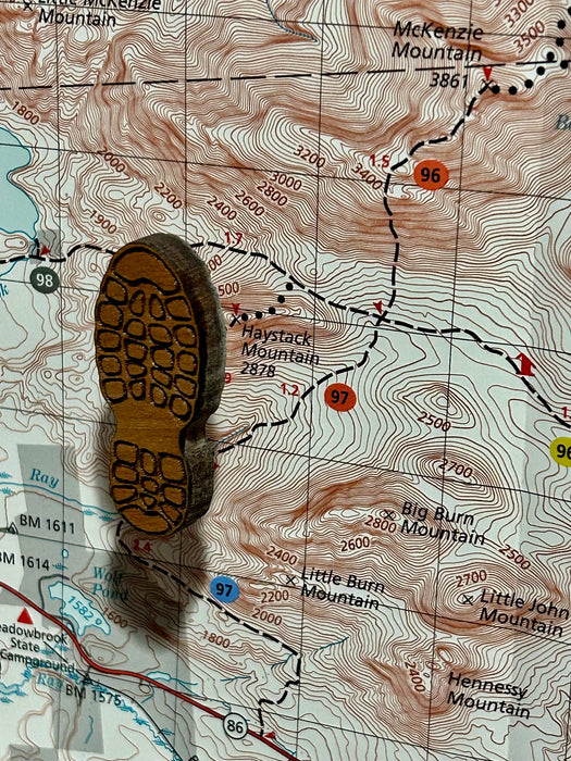 Hiking Boot Map Pins - Set of 12