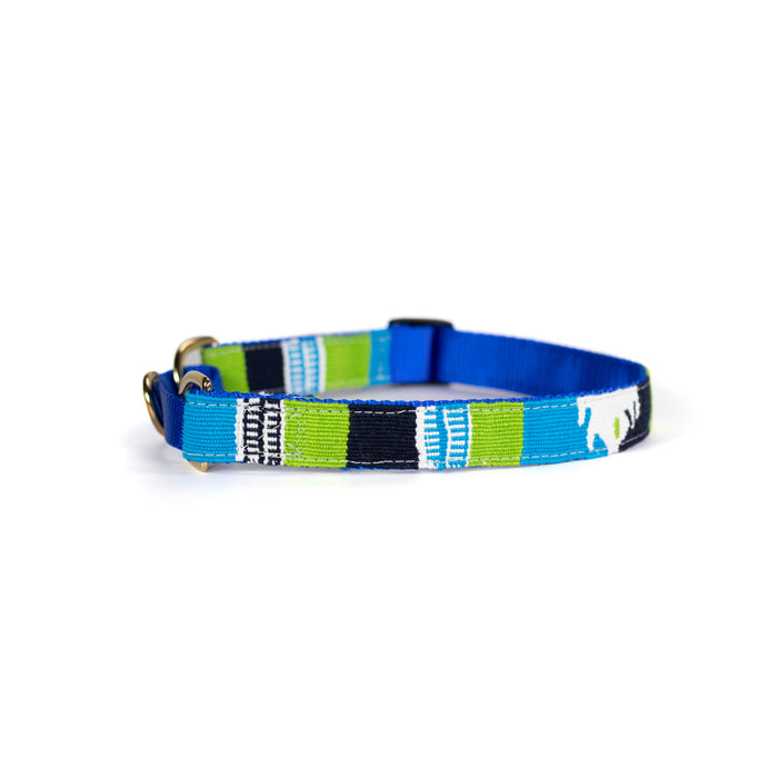 a tail we could wag martingale dog collar in Argyle