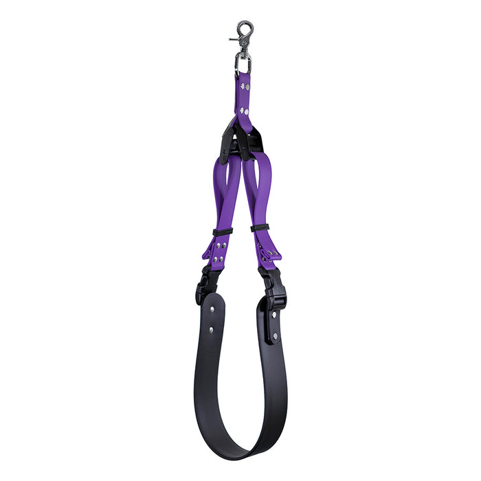 BioThane Grooming Belly Band for large dogs in purple