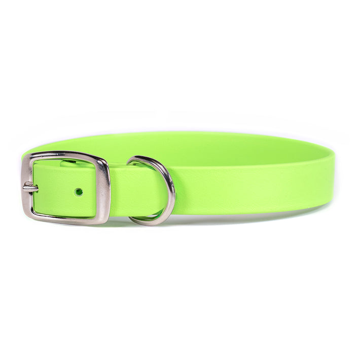 Sparky's Choice Standard Buckle Collar