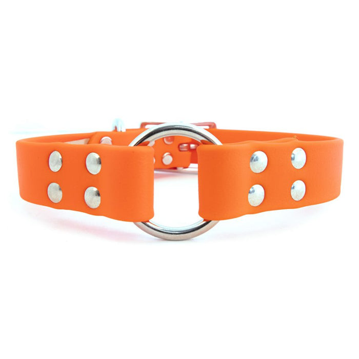 Sparky's Choice Center Ring Collar