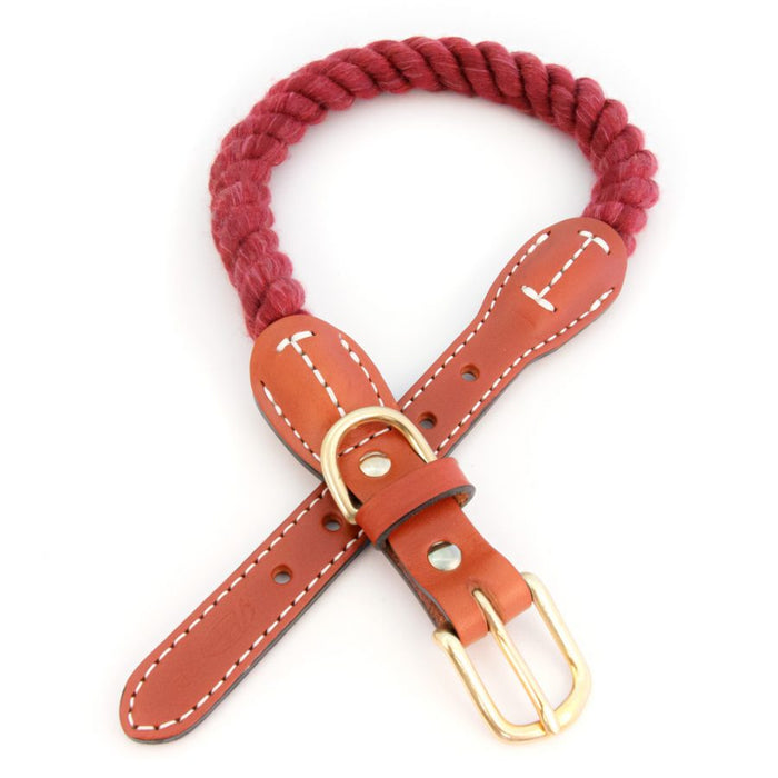 Cotton Rope Dog Collar with Leather Accents