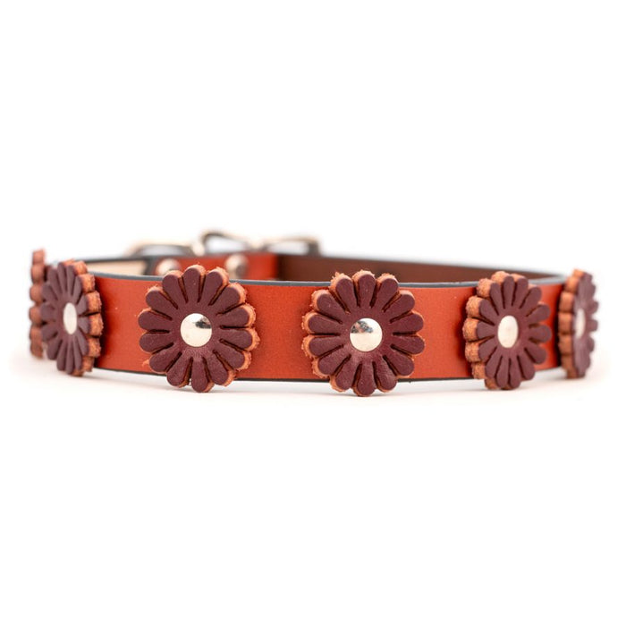 Flower Collar