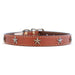 Heirloom Old Glory Tan Bridle Leather Collar with stars