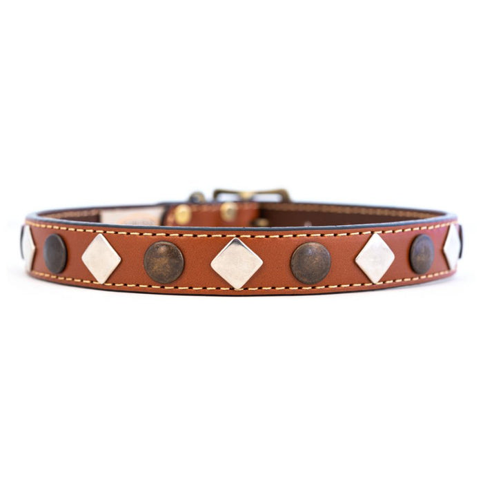 Heirloom Studded Collar