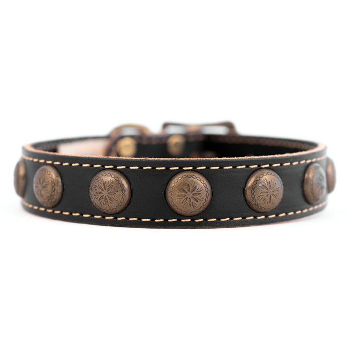 Lake Country Sunburst Collar Black