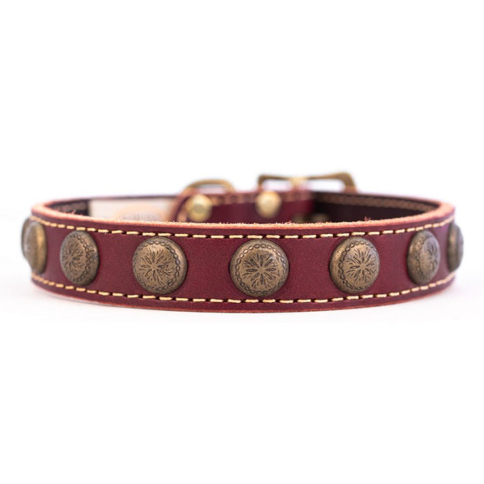 Lake Country Sunburst Collar - Clearance