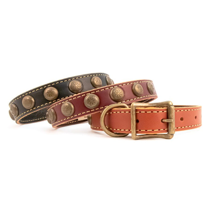 Lake Country Sunburst Collar - Clearance