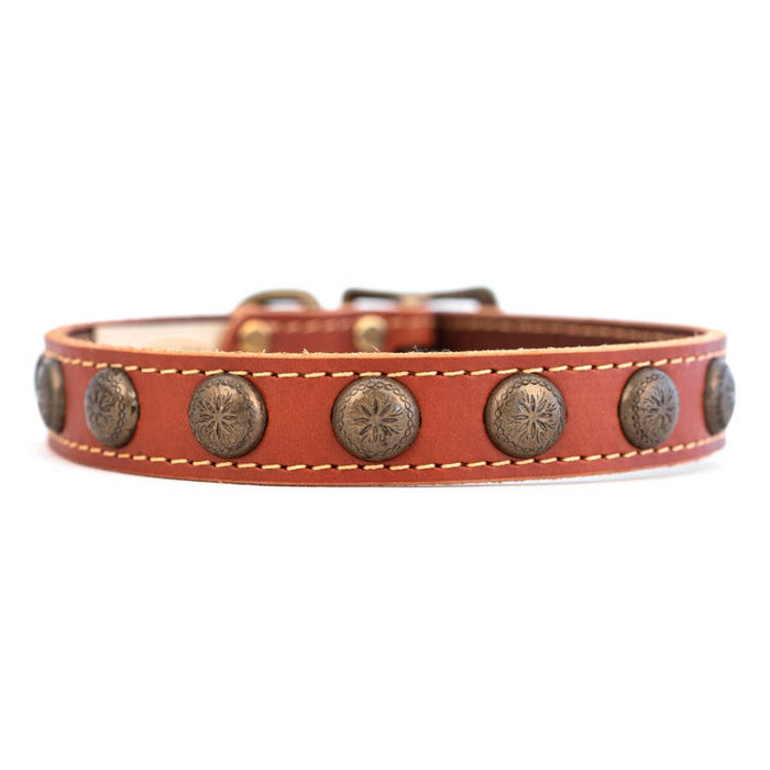 Lake Country Sunburst Collar - Clearance