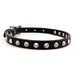 Minnie Maddie Black Dog Collar for small dogs