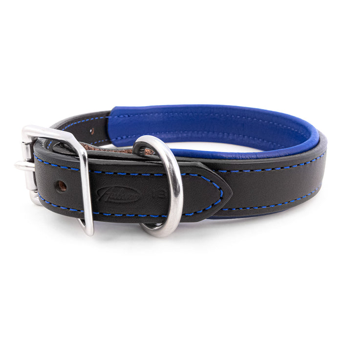 Black Padded Leather Dog Collar with Blue lining and Stainless Steel Buckle and Dee Ring