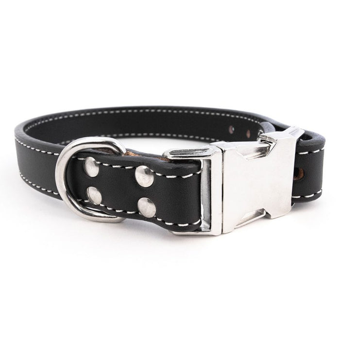 Seneca Side-Release Buckle Collar