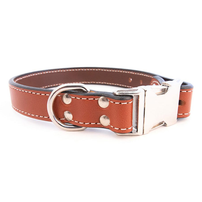 Seneca Side-Release Buckle Collar