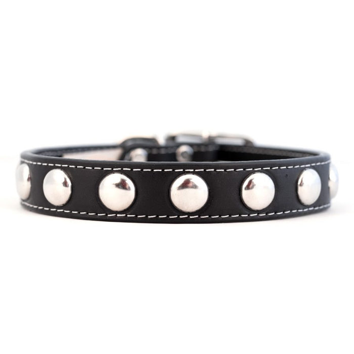 Silver Studded Collar
