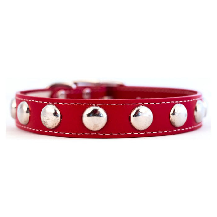 Silver Studded Collar