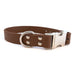 Auburn Leathercrafters Sparky's Choice Waterproof Collar Brown