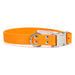 Sparky's Choice Side Release buckle collar with shiny nickel side release buckle in baby blue