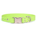 Sparky's Choice Side Release Buckle Collar Lime