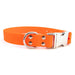 Auburn Leathercrafters Sparky's Choice Waterproof Collar Orange