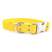 Auburn Leathercrafters Sparky's Choice Waterproof Collar Yellow