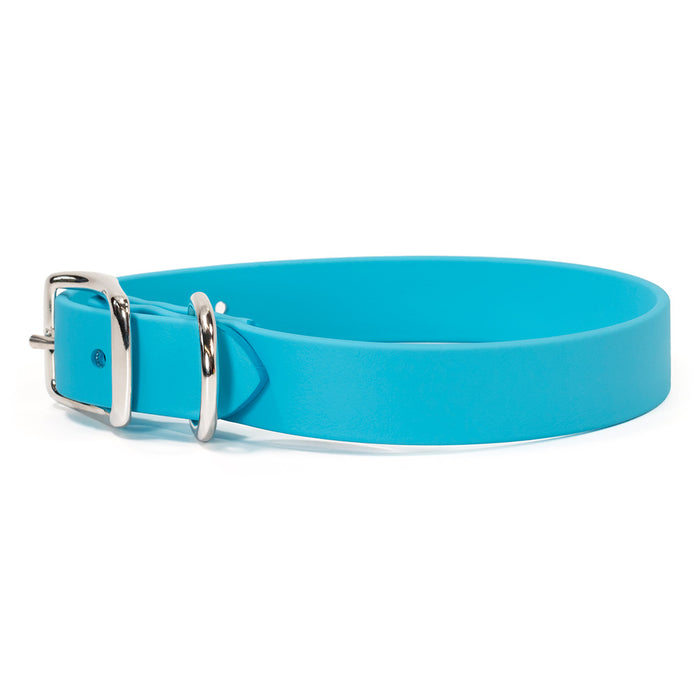 Sparky's Choice Standard Buckle Collar