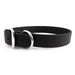 Sparky's Standard Buckle Collar