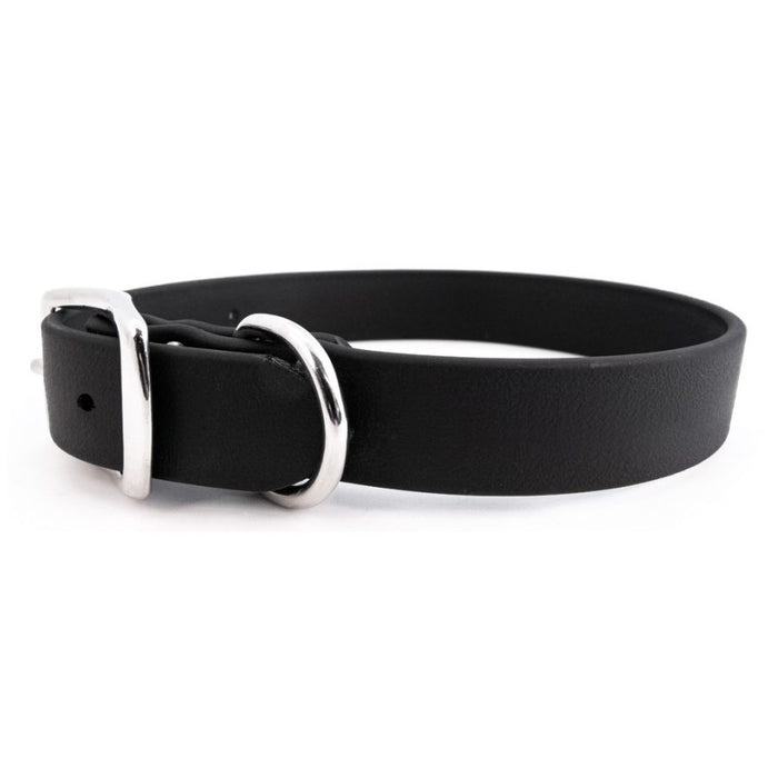 Sparky's Choice Standard Buckle Collar