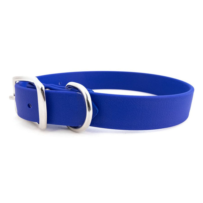 Sparky's Choice Standard Buckle Collar