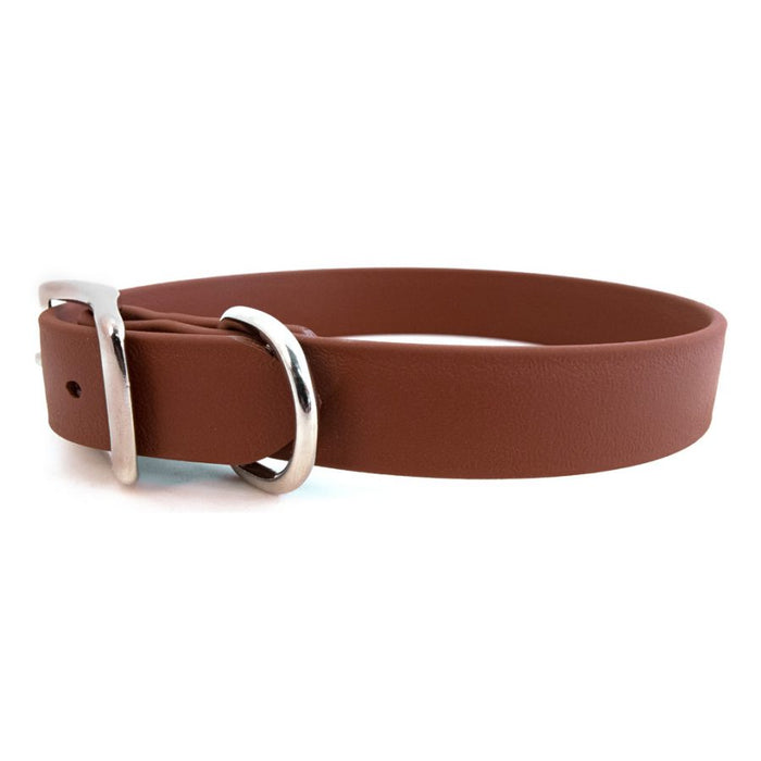 Sparky's Choice Standard Buckle Collar