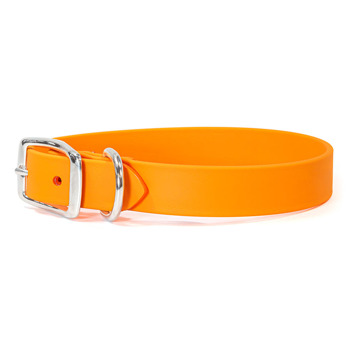 Sparky's Choice Standard Buckle Collar
