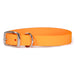 Sparky's Choice Traditional Buckle Collar in the color Creamsicle