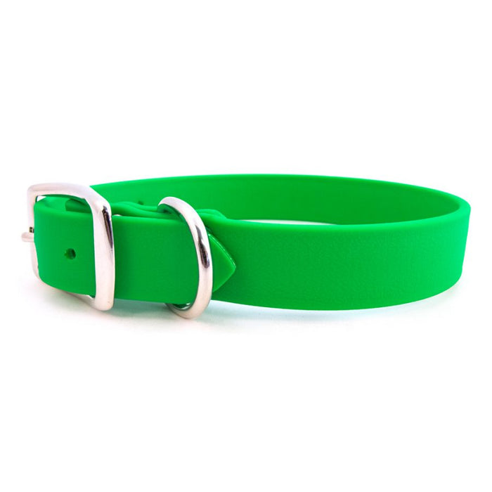 Sparky's Standard Buckle Collar