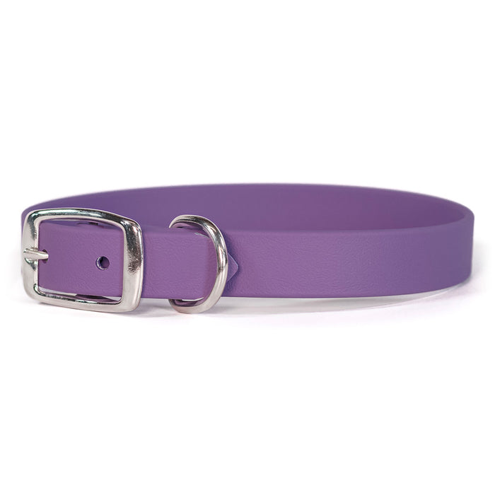 Sparky's Choice Standard Buckle Collar