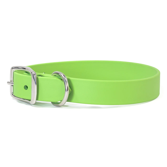 Sparky's Choice Standard Buckle Collar