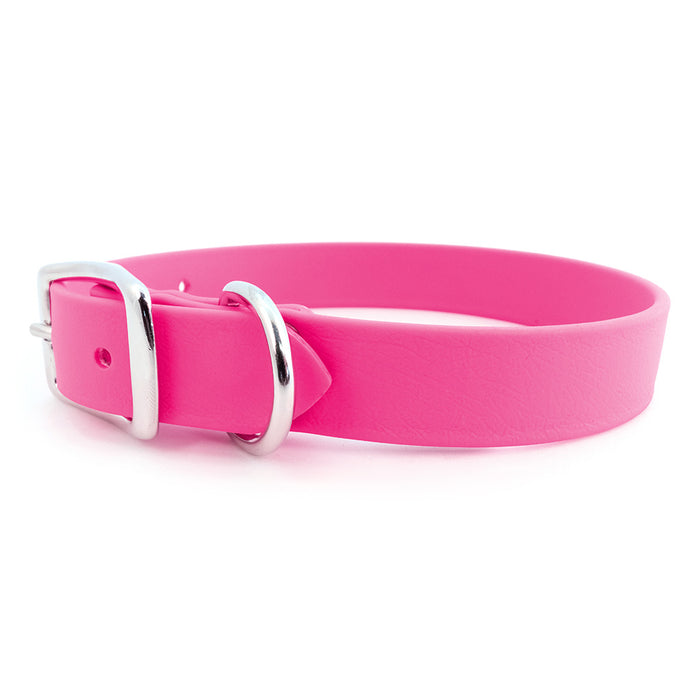 Sparky's Choice Standard Buckle Collar