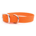 Sparky's Standard Buckle Collar