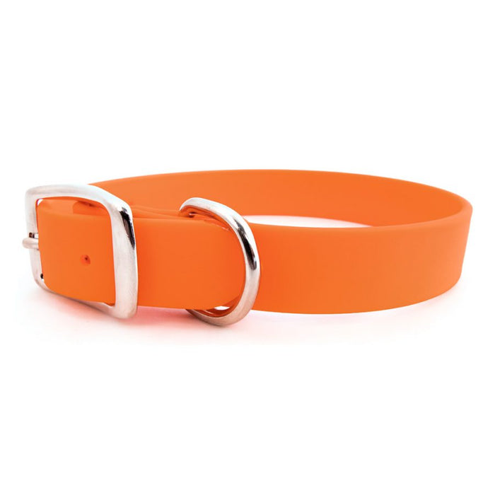 Sparky's Choice Standard Buckle Collar