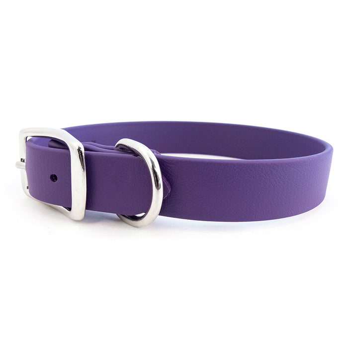 Sparky's Choice Standard Buckle Collar
