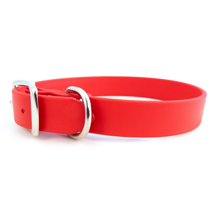Sparky's Choice Standard Buckle Collar