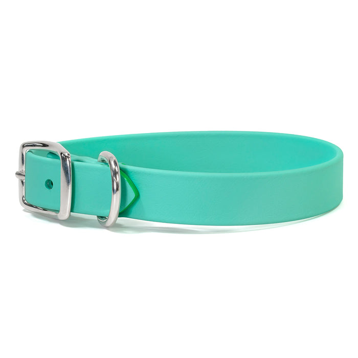 Sparky's Choice Standard Buckle Collar