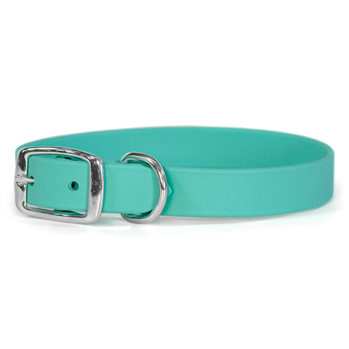 Sparky's Choice Traditional Buckle Collar in Seafoam bluish green