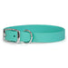 Sparky's Choice Traditional Buckle Collar in Seafoam bluish green