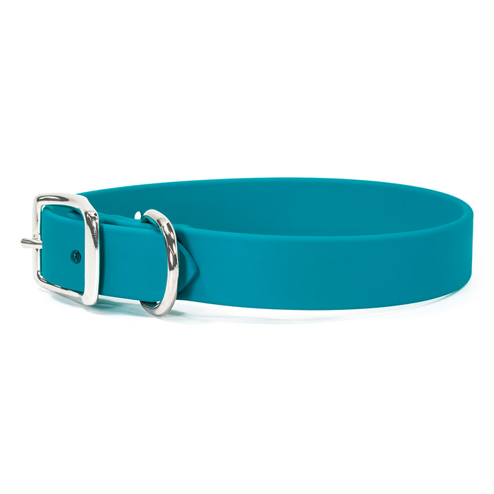Sparky's Choice Standard Buckle Collar